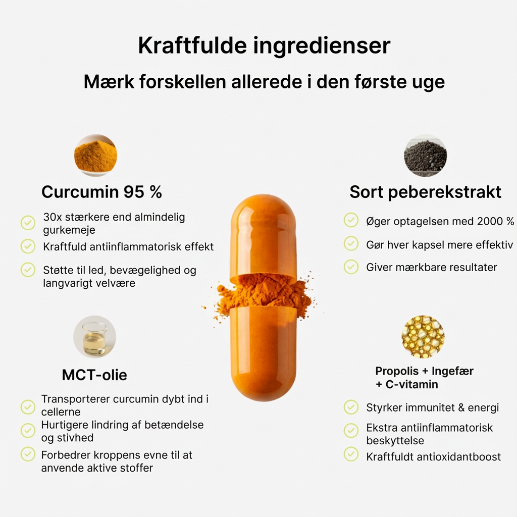 Biolabs - Turmeric Curcumin 1000mg – Biolabs DK